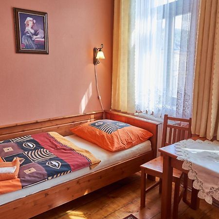 Pension Ulrika - Ubytovani Pod Hradem Loket Kültér fotó
